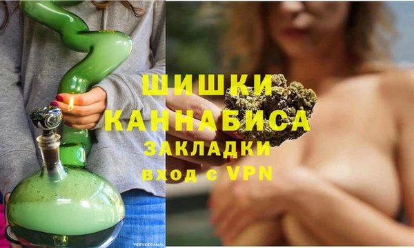твердый Арсеньев