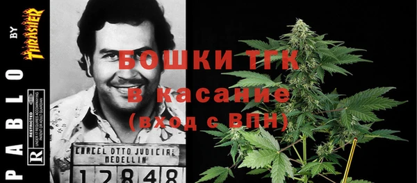 твердый Арсеньев