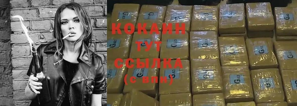 твердый Арсеньев